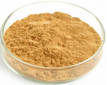 Factory Supply Pure Natural Ginkgo Biloba Extract Flavonoids Ginkgolide